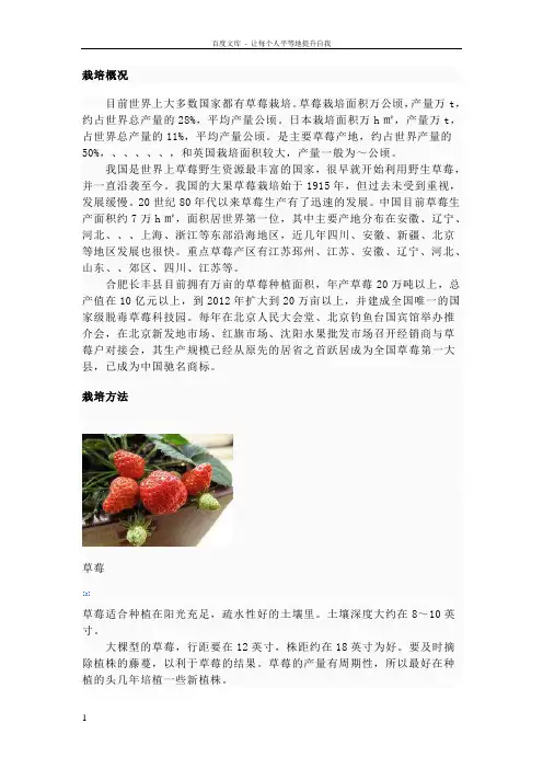 有关维生素之王草莓的知识