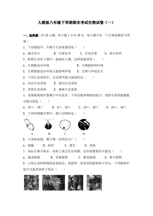 人教版八年级下学期期末考试生物试卷及答案(共五套)