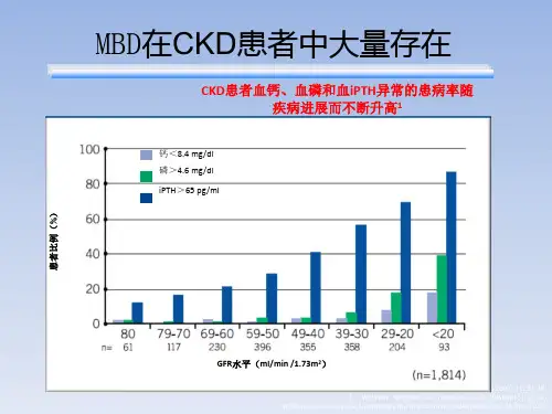 肾性骨病CKD-MBD评估与防治