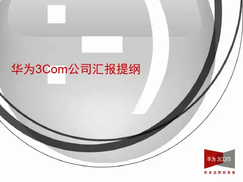 1、华为3Com公司汇报提纲