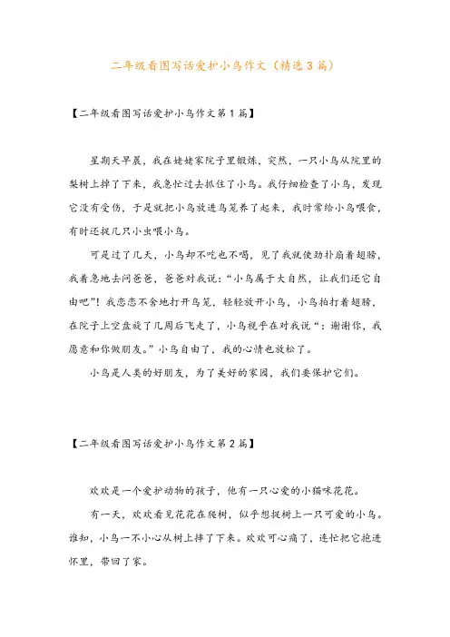 二年级看图写话爱护小鸟作文(精选3篇)