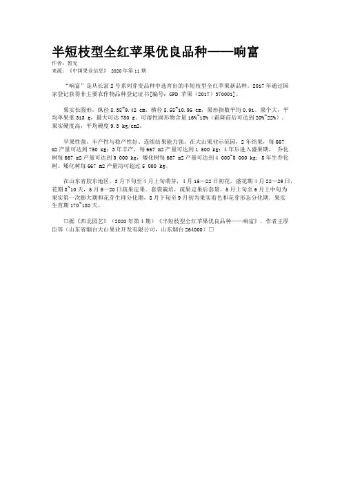 半短枝型全红苹果优良品种——响富
