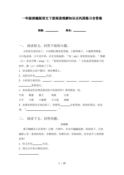 一年级部编版语文下册阅读理解知识点巩固练习含答案