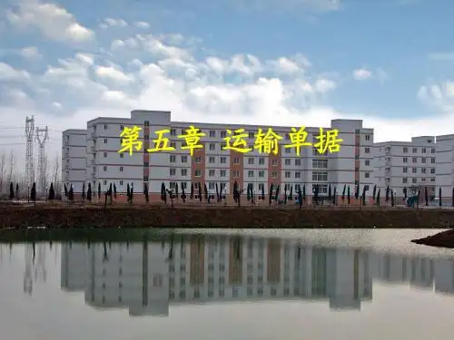 第六章 运输单据