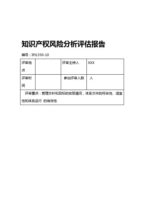 知识产权风险分析评价报告
