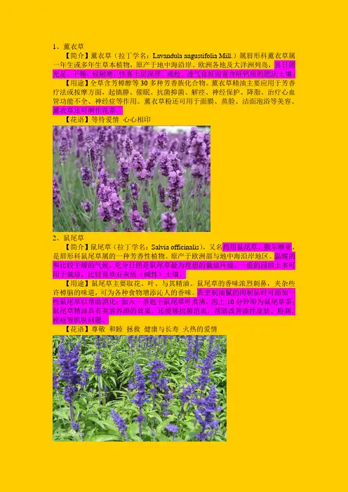 香草集合