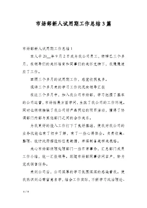 市场部新人试用期工作总结3篇