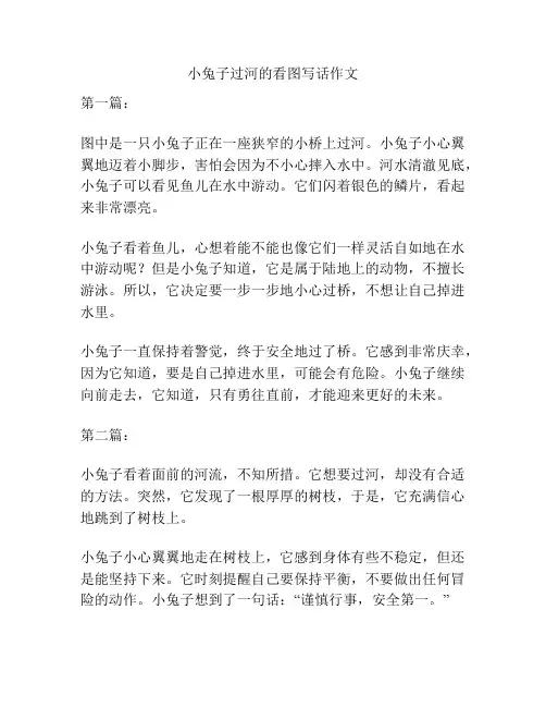 小兔子过河的看图写话作文