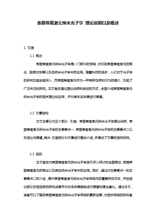 表面等离激元纳米光子学 理论说明以及概述