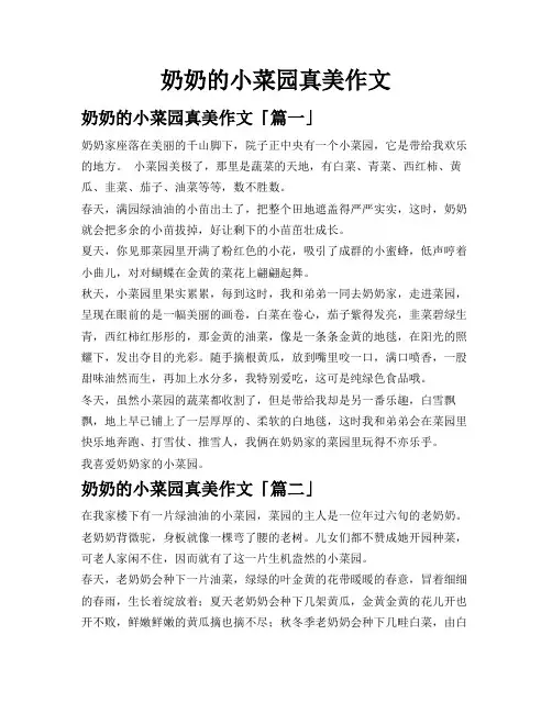 奶奶的小菜园真美作文