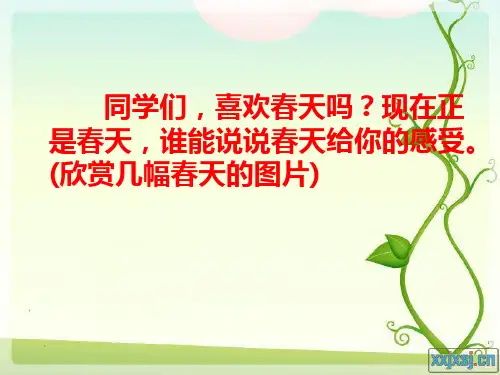 17触摸春天_PPT课件