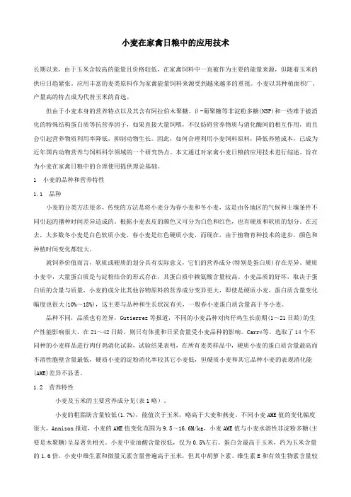 小麦在家禽日粮中的应用技术