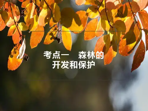 高考地理一轮复习课件第31讲森林与湿地
