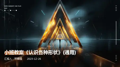 小班教案《认识各种形状》(通用)ppt (3)