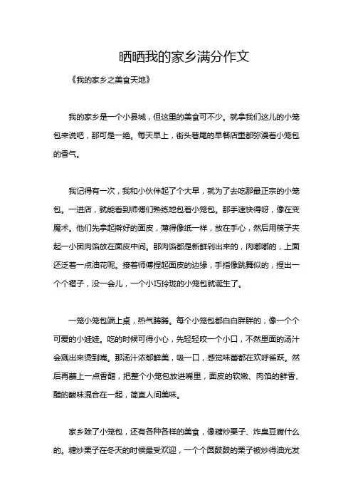晒晒我的家乡满分作文