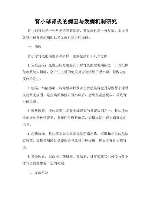 肾小球肾炎的病因与发病机制研究