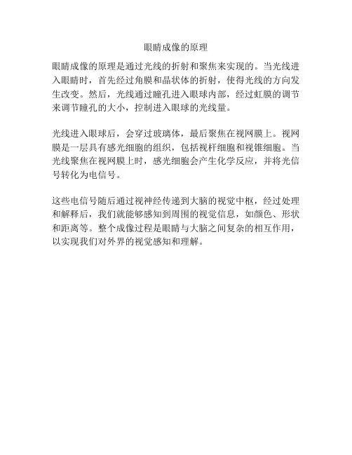 眼睛成像的原理