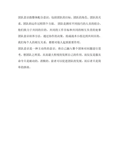 团队意识的定义