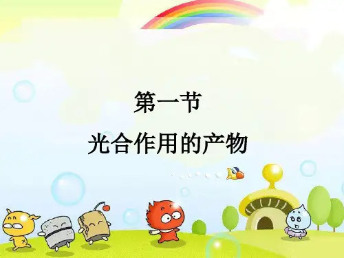 2022年冀教初中生物八上《光合作用的产物》公开课课件2