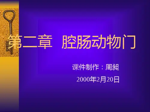 腔肠动物(2)