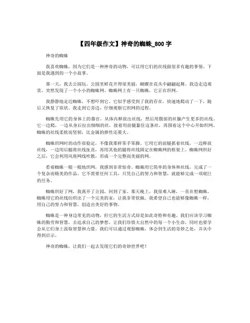 【四年级作文】神奇的蜘蛛_800字