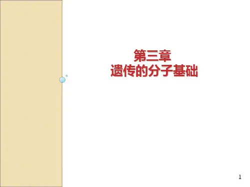 第三章遗传的分子基础PPT课件
