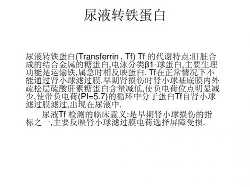 尿液转铁蛋白