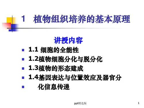 植物组织培养的基本原理ppt课件