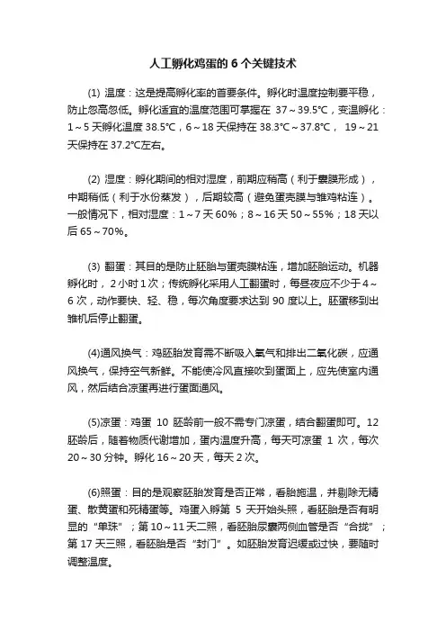 人工孵化鸡蛋的6个关键技术