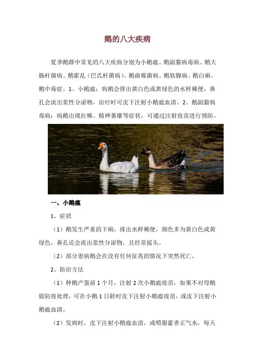 鹅的八大疾病