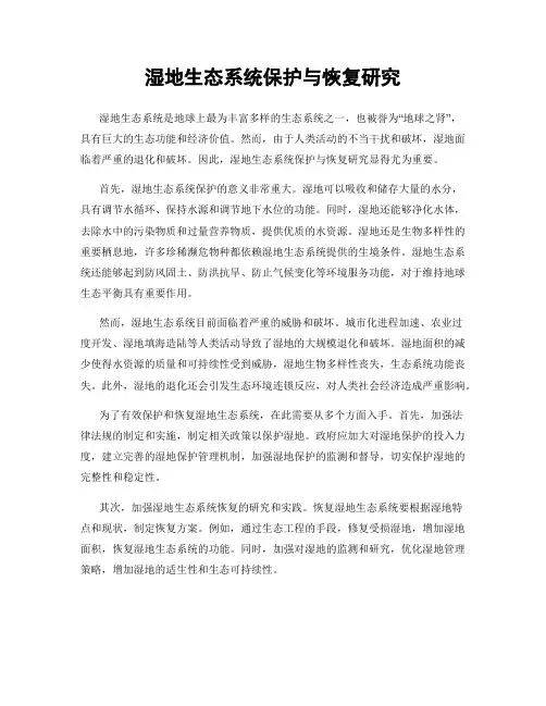 湿地生态系统保护与恢复研究