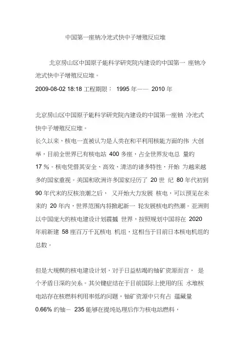 中国第一座钠冷池式快中子增殖反应堆