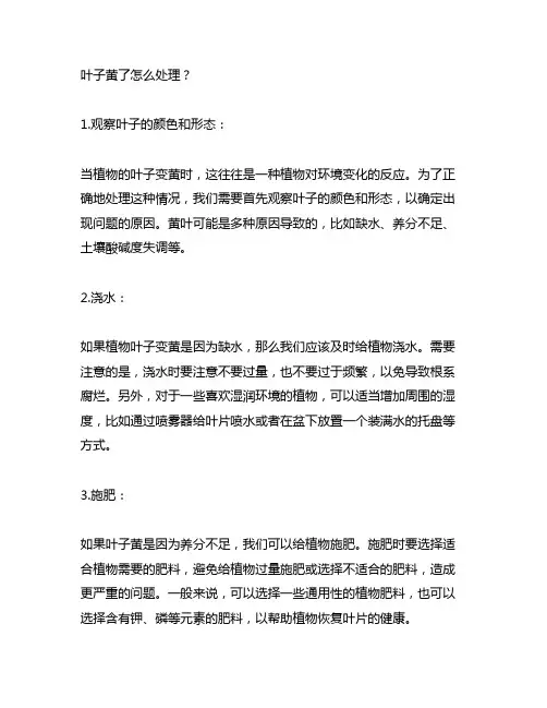 叶子黄了怎么办用最简单的方法