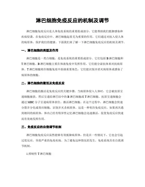 淋巴细胞免疫反应的机制及调节
