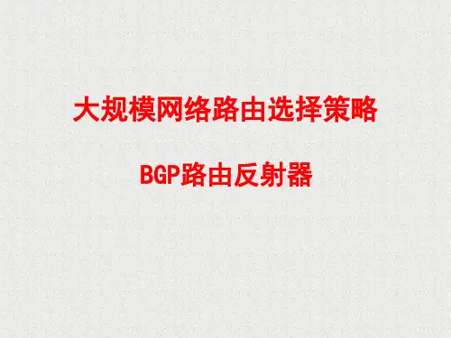 bgp反射器..