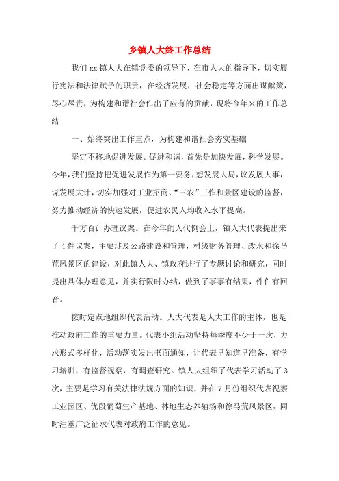 2019年乡镇人大终工作总结