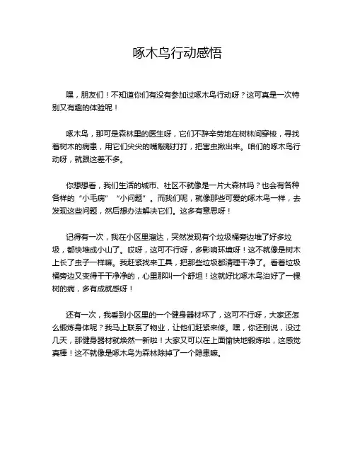 啄木鸟行动感悟
