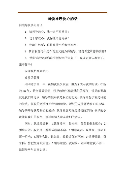向领导表决心的话