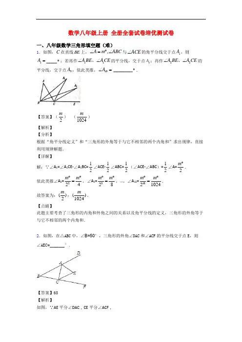 数学八年级上册 全册全套试卷培优测试卷