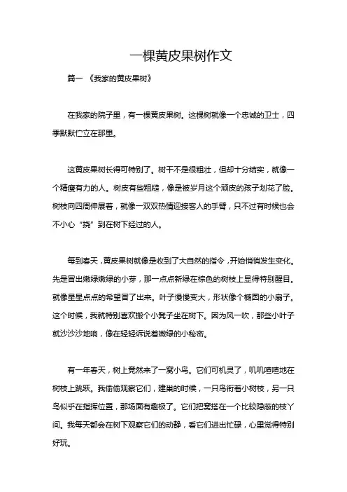 一棵黄皮果树作文
