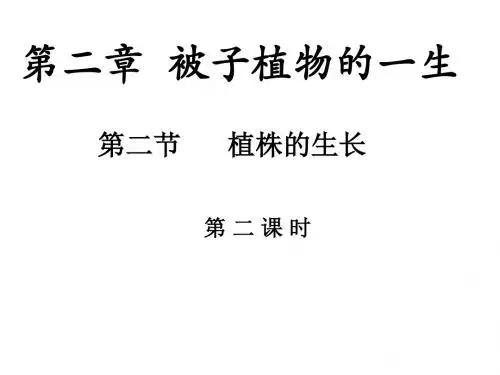 植株的生长 PPT课件24(2份打包) 人教版1