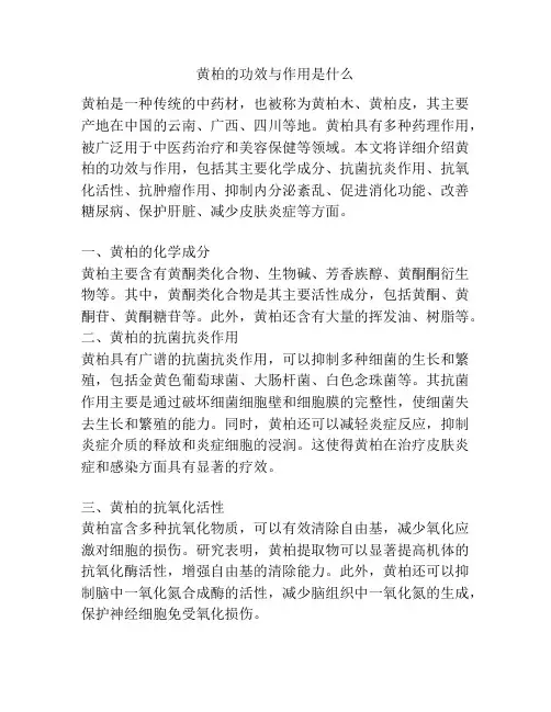 黄柏的功效与作用是什么