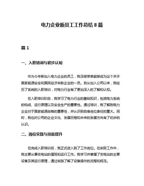 电力企业新员工工作总结8篇