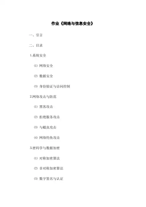 作业《网络与信息安全》