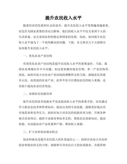 提升农民收入水平