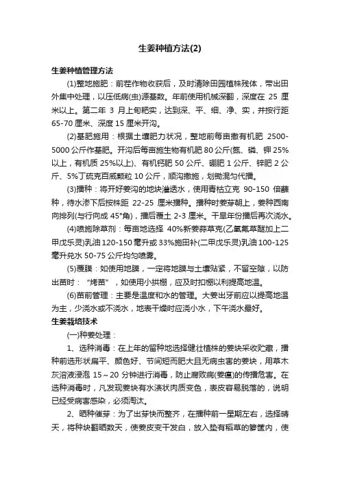 生姜种植方法（2）