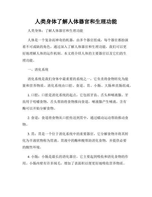 人类身体了解人体器官和生理功能