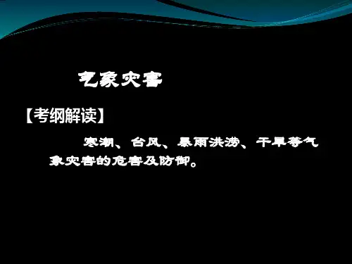 【高中地理】高考复习气象灾害ppt