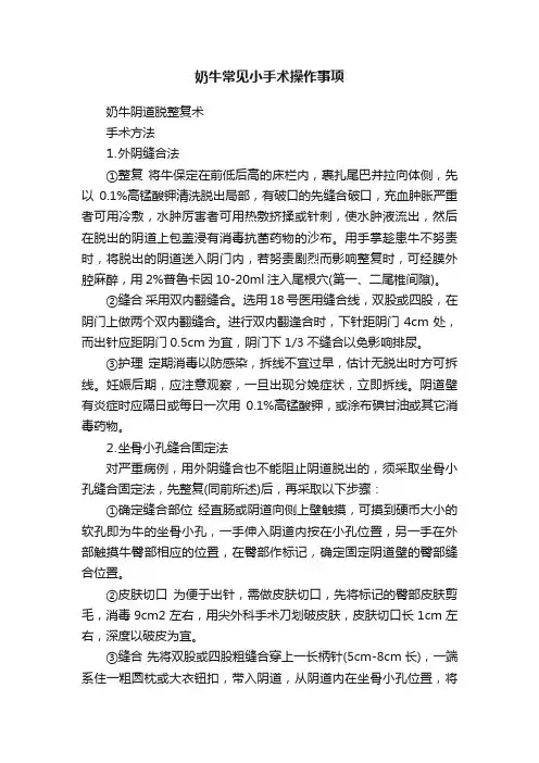 奶牛常见小手术操作事项