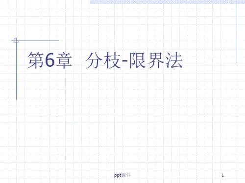 分支限界法 ppt课件